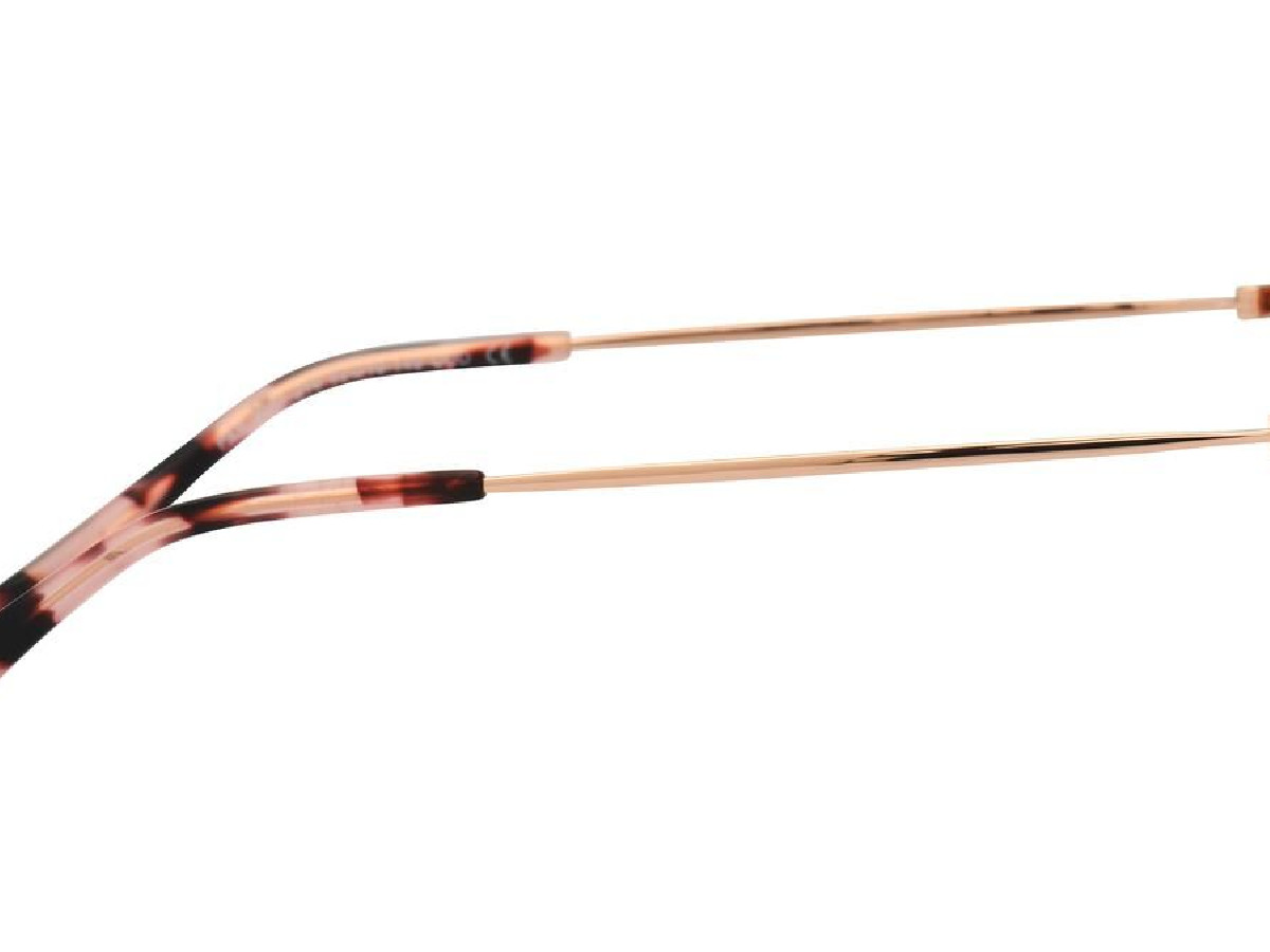 LA PARESSEUSE - PAR2001 - 52/19