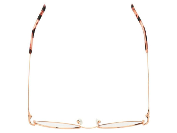 LA PARESSEUSE - PAR2001 - 52/19