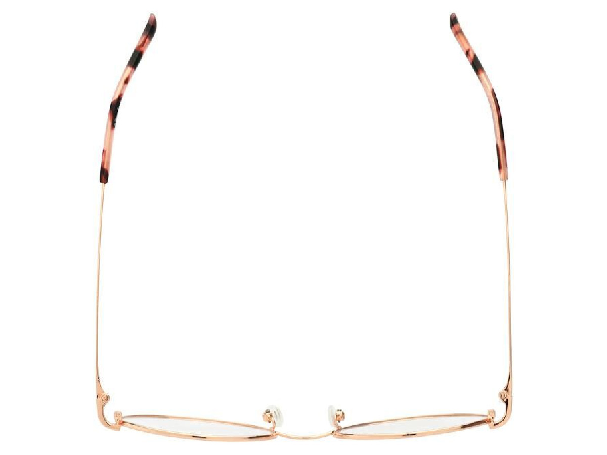 LA PARESSEUSE - PAR2001 - 52/19