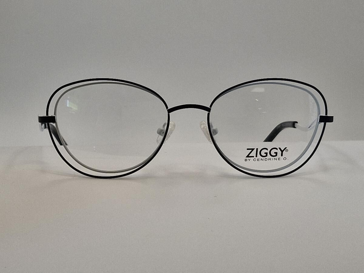 ZIGGY - 1822