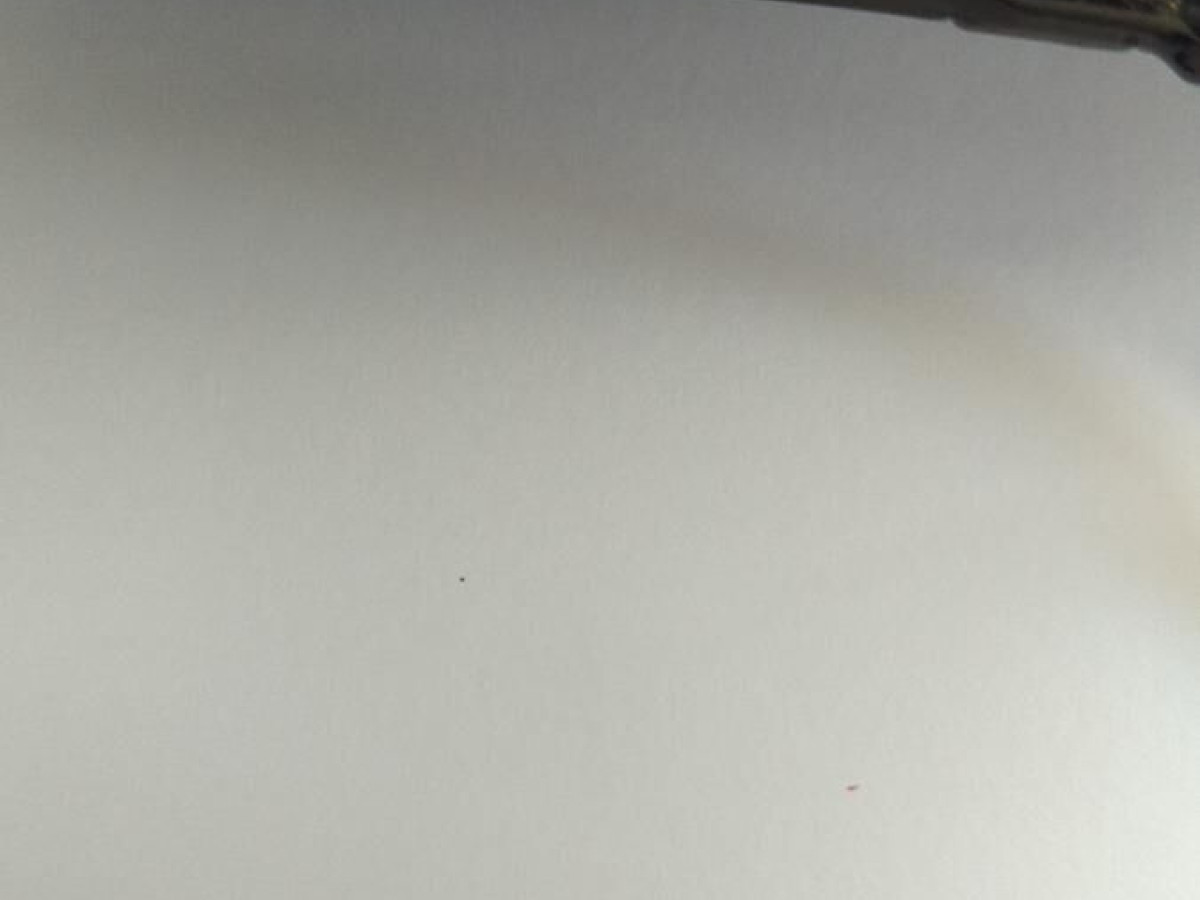 Ray Ban  - RB 6156 2502 52¤17 140