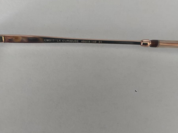 La curieuse - Clémence Margaux - CM317 49¤19