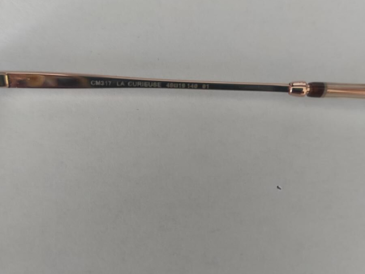 La curieuse - Clémence Margaux - CM317 49¤19