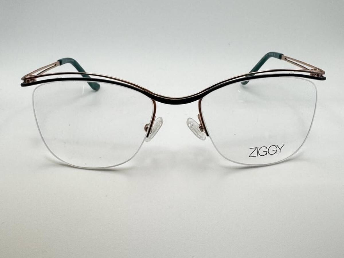 ZIGGY - 2036