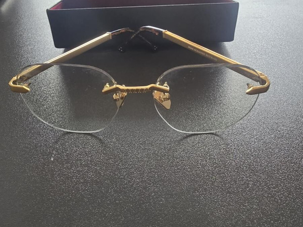 Iron - 24 k gold plated limited edition 53¤18