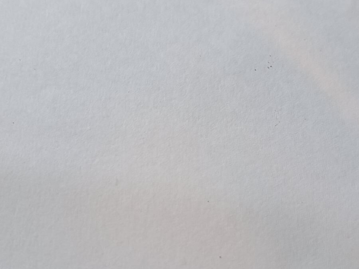 oscar version - 0V2116 GUOR 58¤17 150