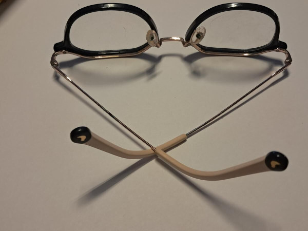 Lunettes CCO - titane