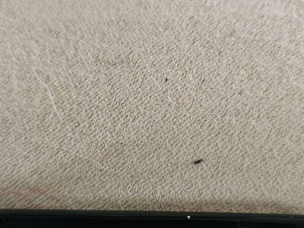 Fuzion - NUU20 C01 52/17