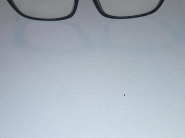 Tom ford - TF5584-B 001 54/16 145