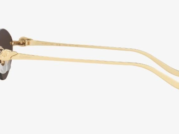 Cartier - CT0504S 58¤16