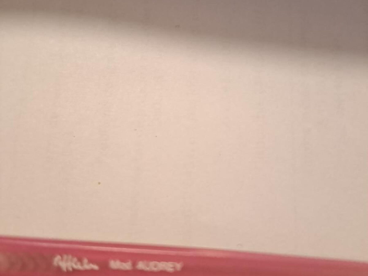 alain Afflelou - AUDREY OAJ6032 49¤15