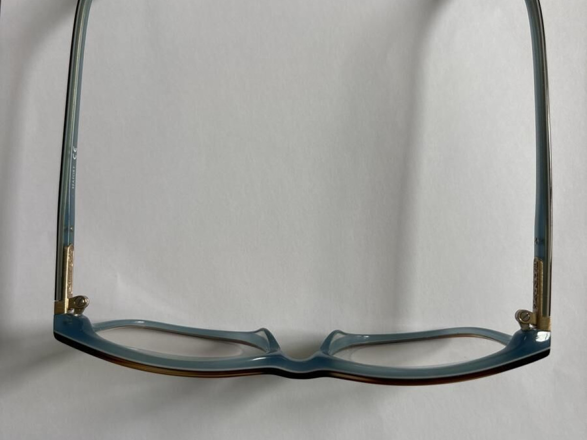 Paul & Joe - CLEMATIS 12 ECCI 51/16 136