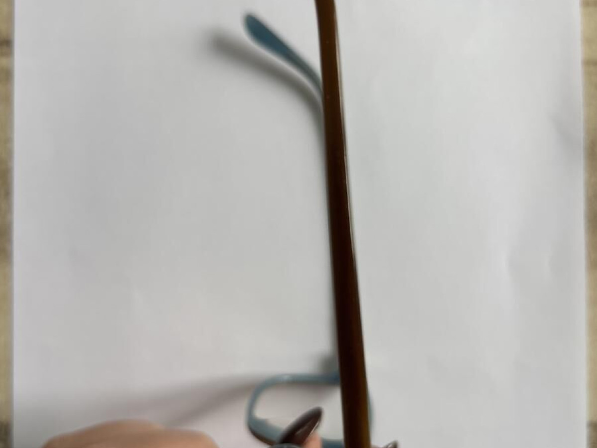 Paul & Joe - CLEMATIS 12 ECCI 51/16 136