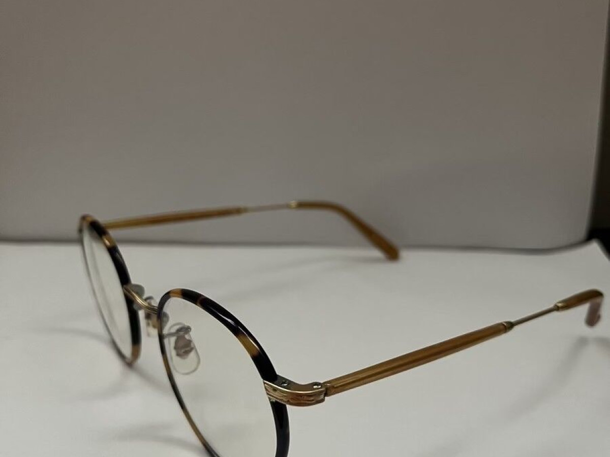 Garrett leight - wilson 49/22