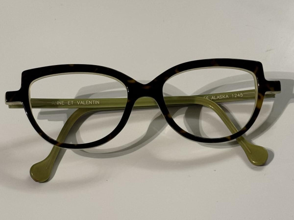 Anne et Valentin - Alaska...