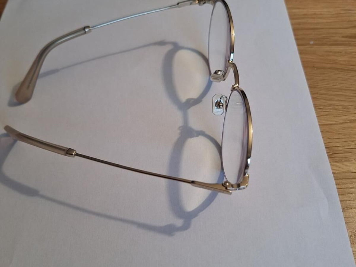 Swarovski - Sk1004 4013