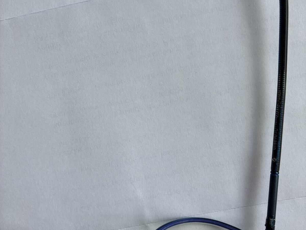 Etnia BARCELONA - OCBA0039