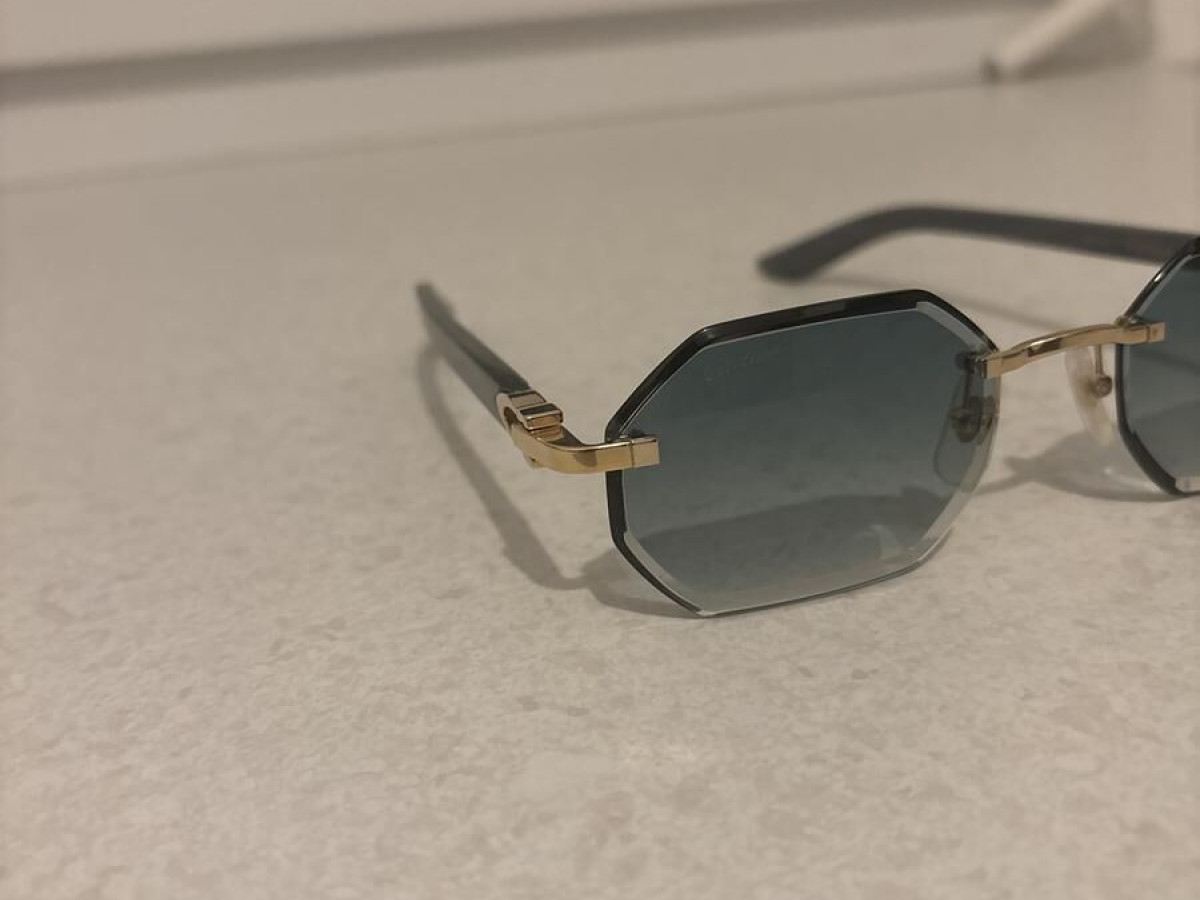 CARTIER - CT0439S 004