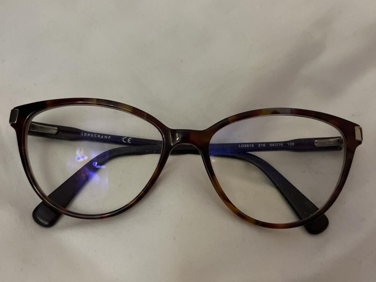 Longchamp - LO2615 216 54/16 135