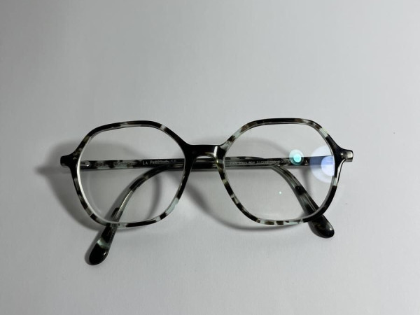 La paresseuse - 2305 504...