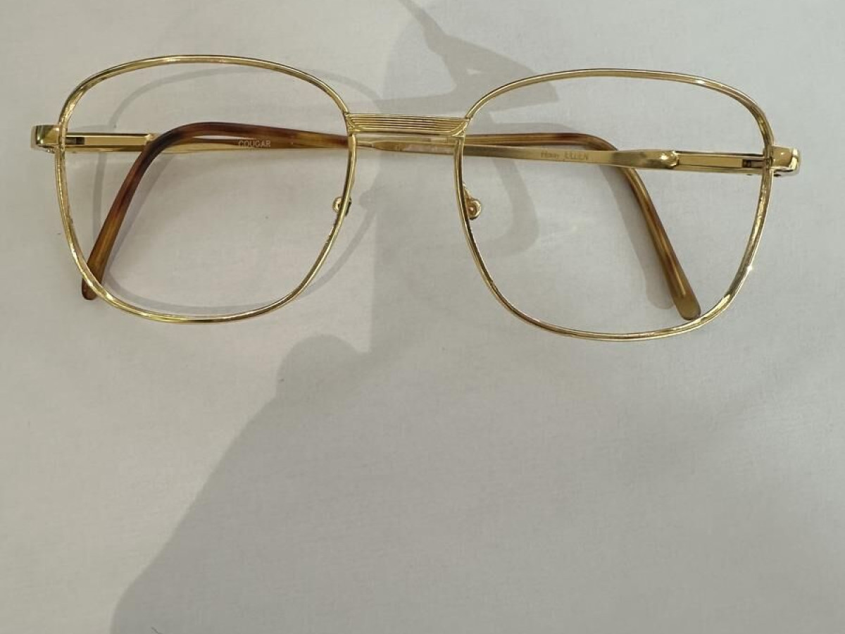 Henry JULLIEN - COUGAR00 51¤20