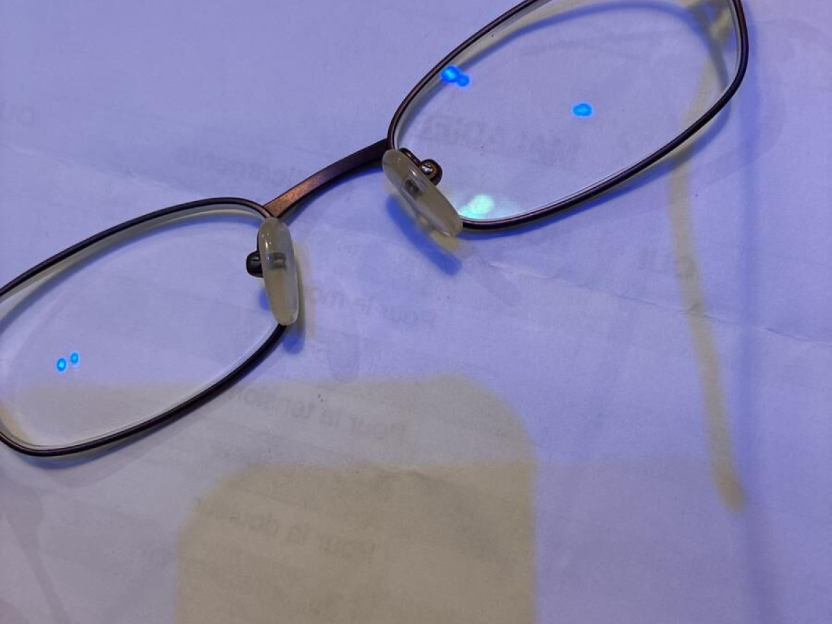 Bouvret - TLC11 48&curren;19