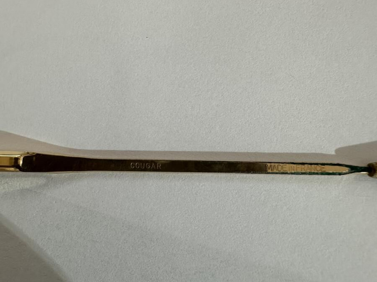 Henry JULLIEN - COUGAR00 53&curren;21