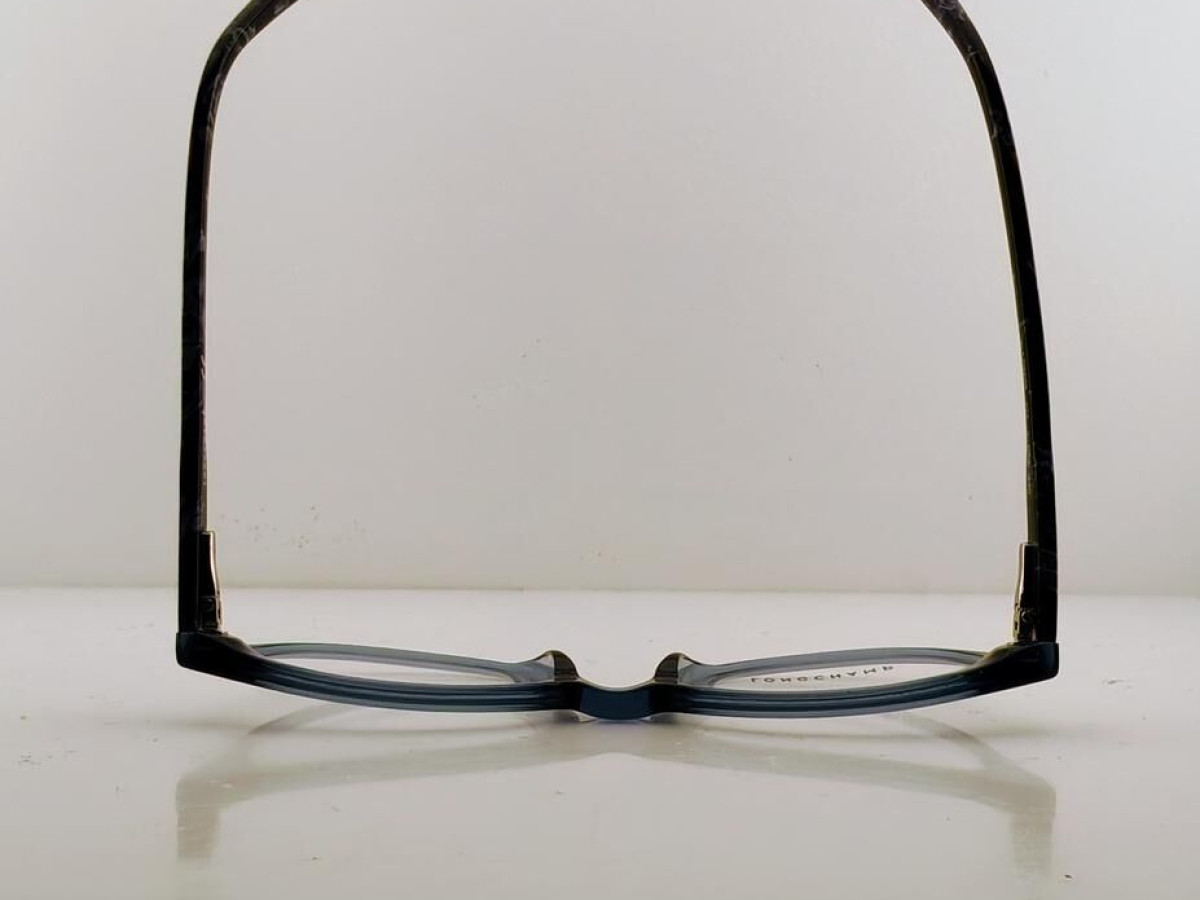 LONGCHAMP - LO 2608 424 51&curren;19