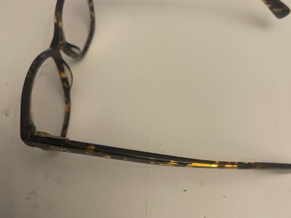 Longchamp - Lo2887 242 53/15