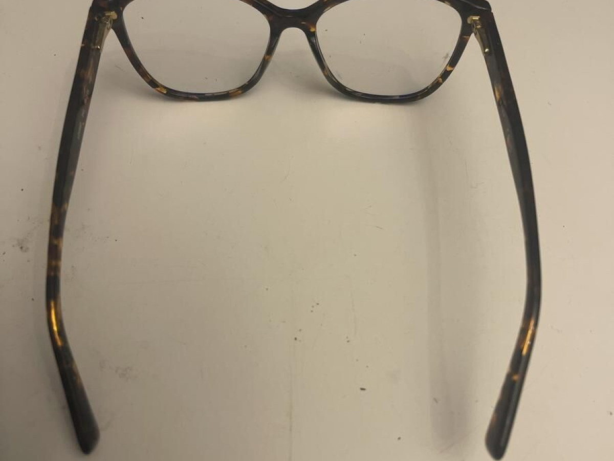 Longchamp - Lo2887 242 53/15