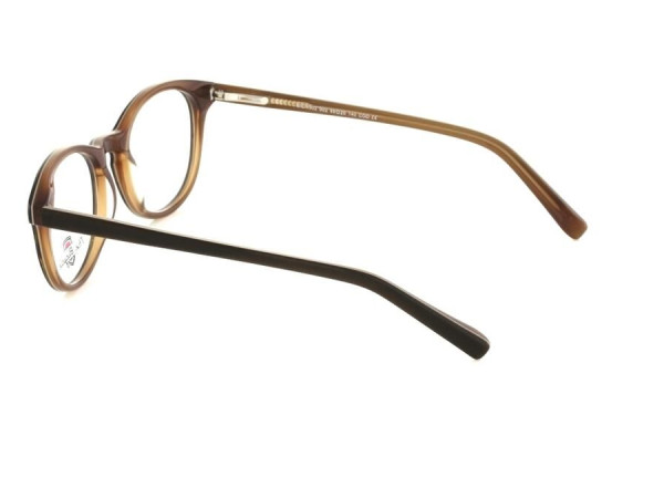 THE BICYCLE - BIC1305 - 50/19