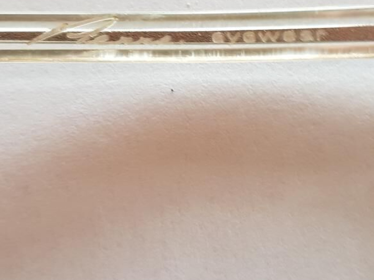 Eyewear - Jeanne  EC34.CR20 5.1 cm x 4.2 &curren;1.2cm