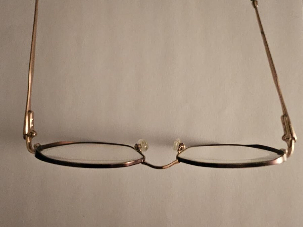 Ines de Fressange - C4221021 1