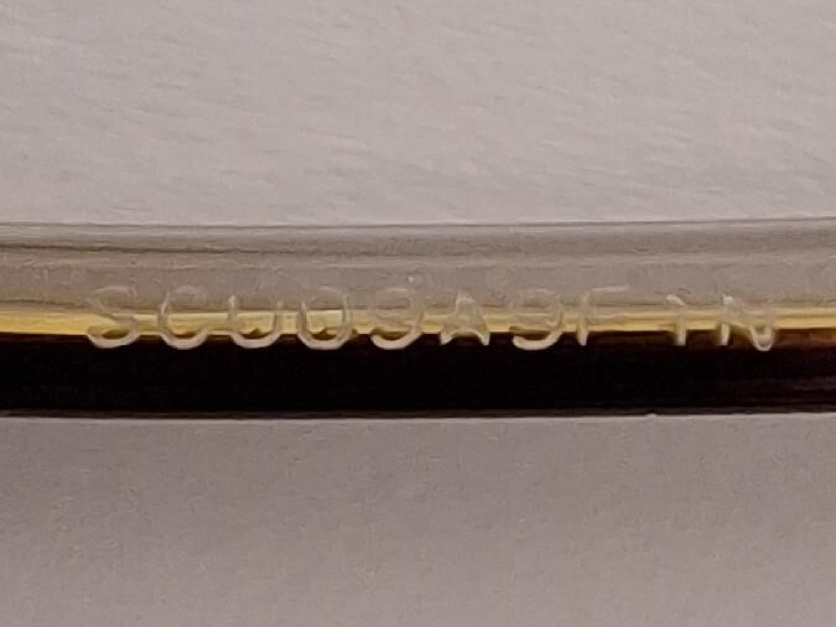 Christian Dior - SCUO9A9F1N