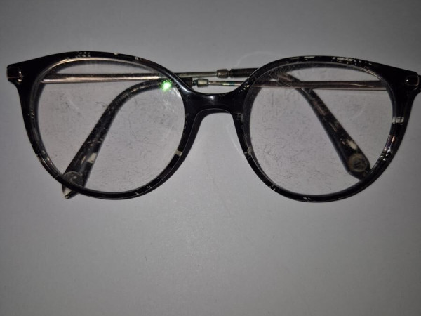 In&egrave;s de la Fressange