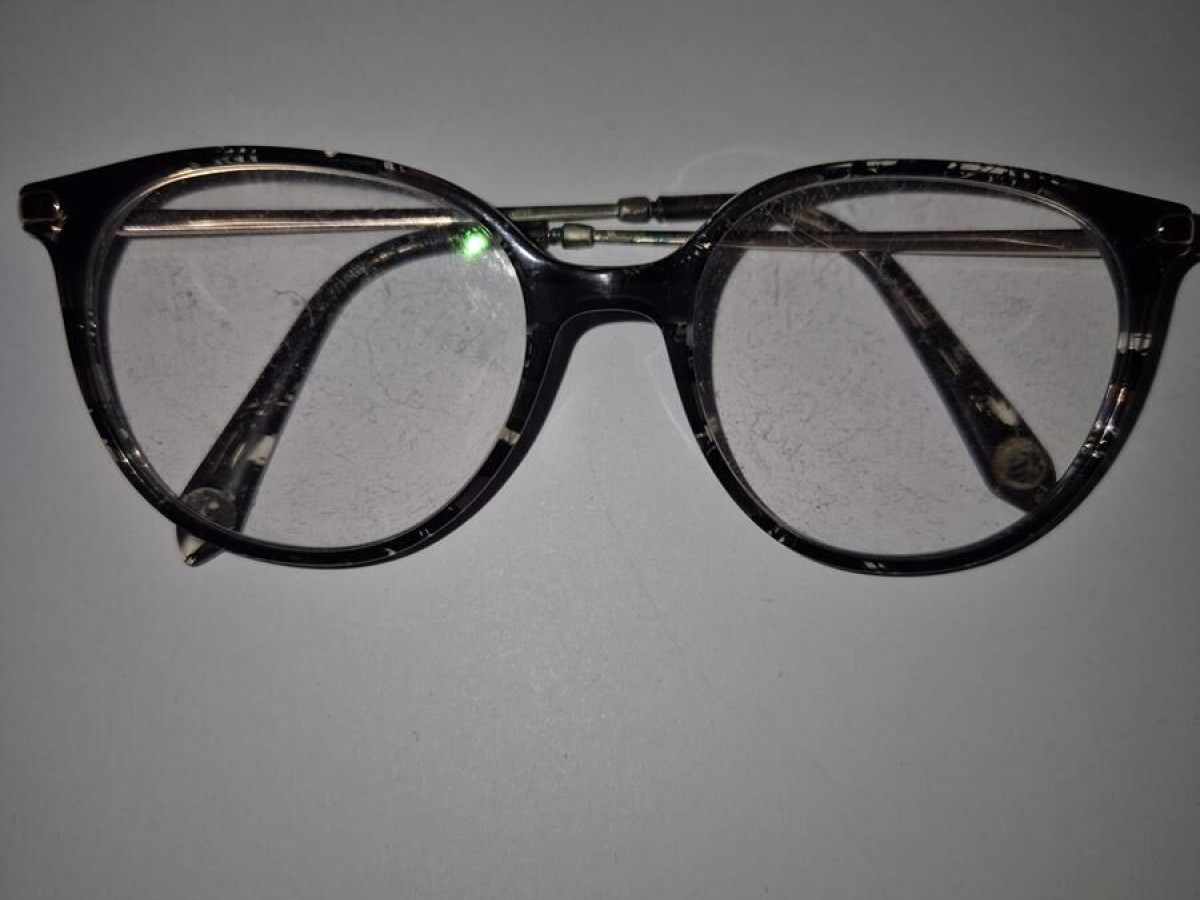 In&egrave;s de la Fressange