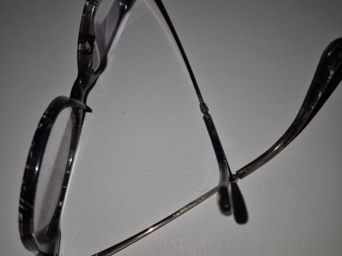 In&egrave;s de la Fressange