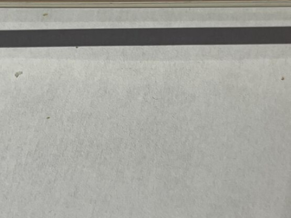 PRADA - PR55wv 51&curren;19