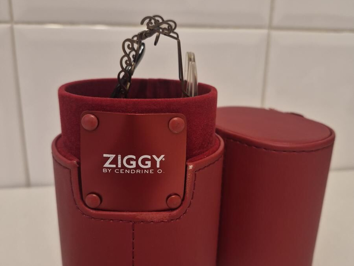 Ziggy by cendrine  - Ziggy 962 C 2