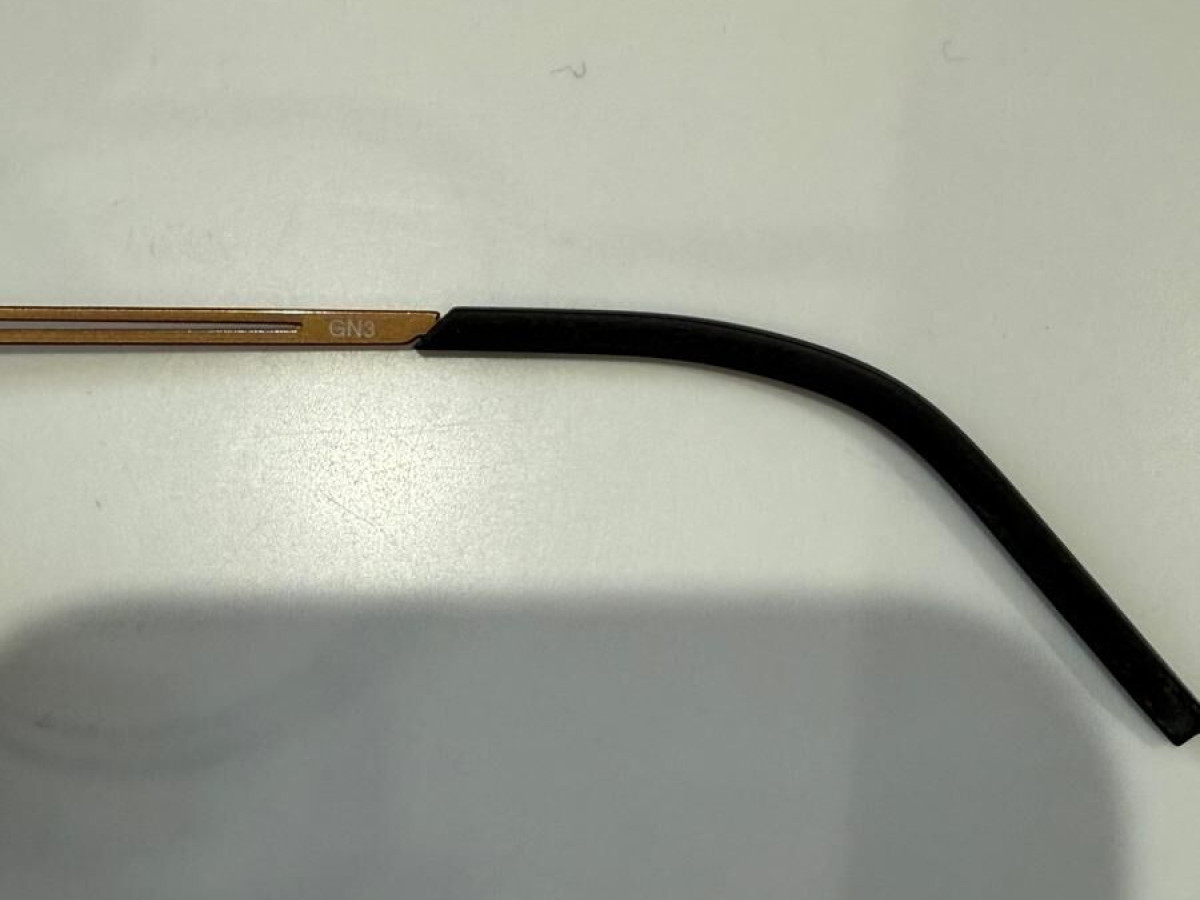 PARASITE - GN3 50&curren;21