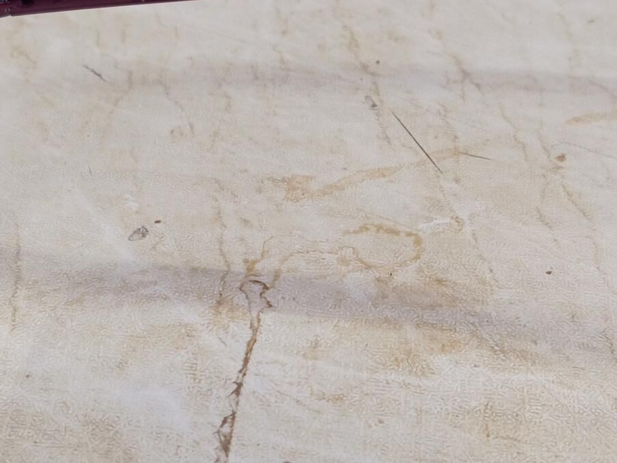 Morel M - 2999M 49&curren;16