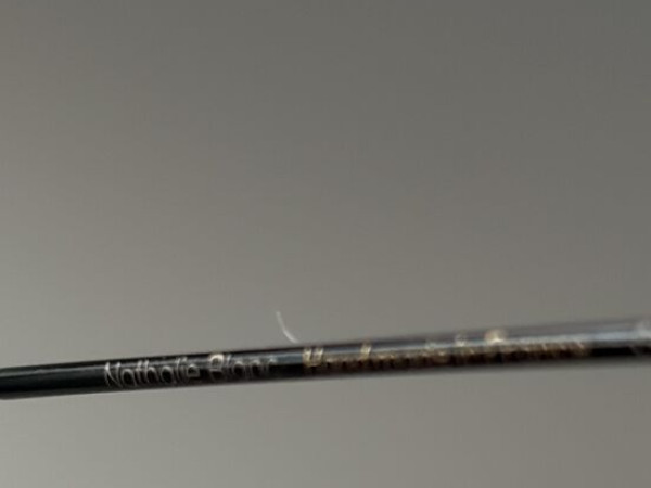 Nathalie Blanc - DANIEL 248140  50&curren;19