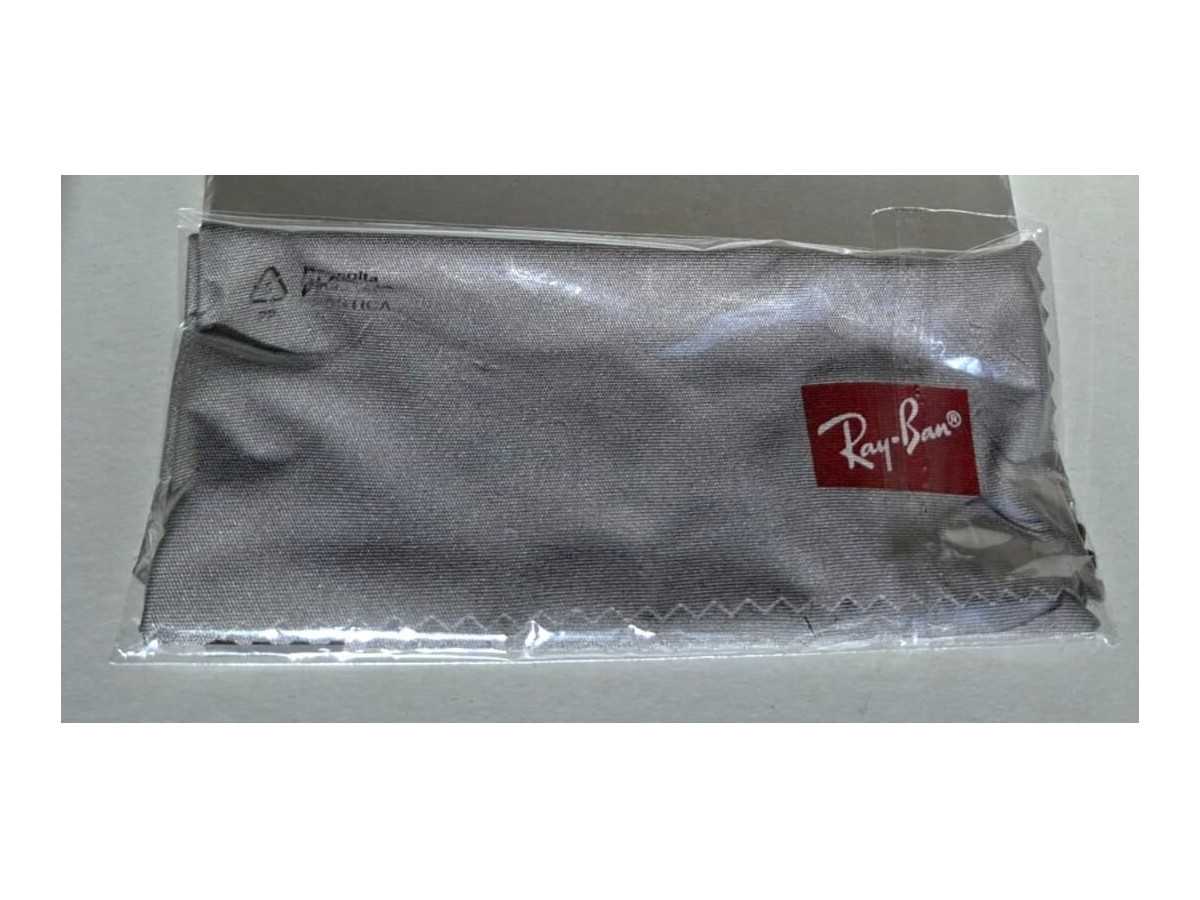 RAY-BAN- RB 8258 3141K8 FRANK II TITANIUM - Made in Japan &ndash; Chromance - 51&curren;20