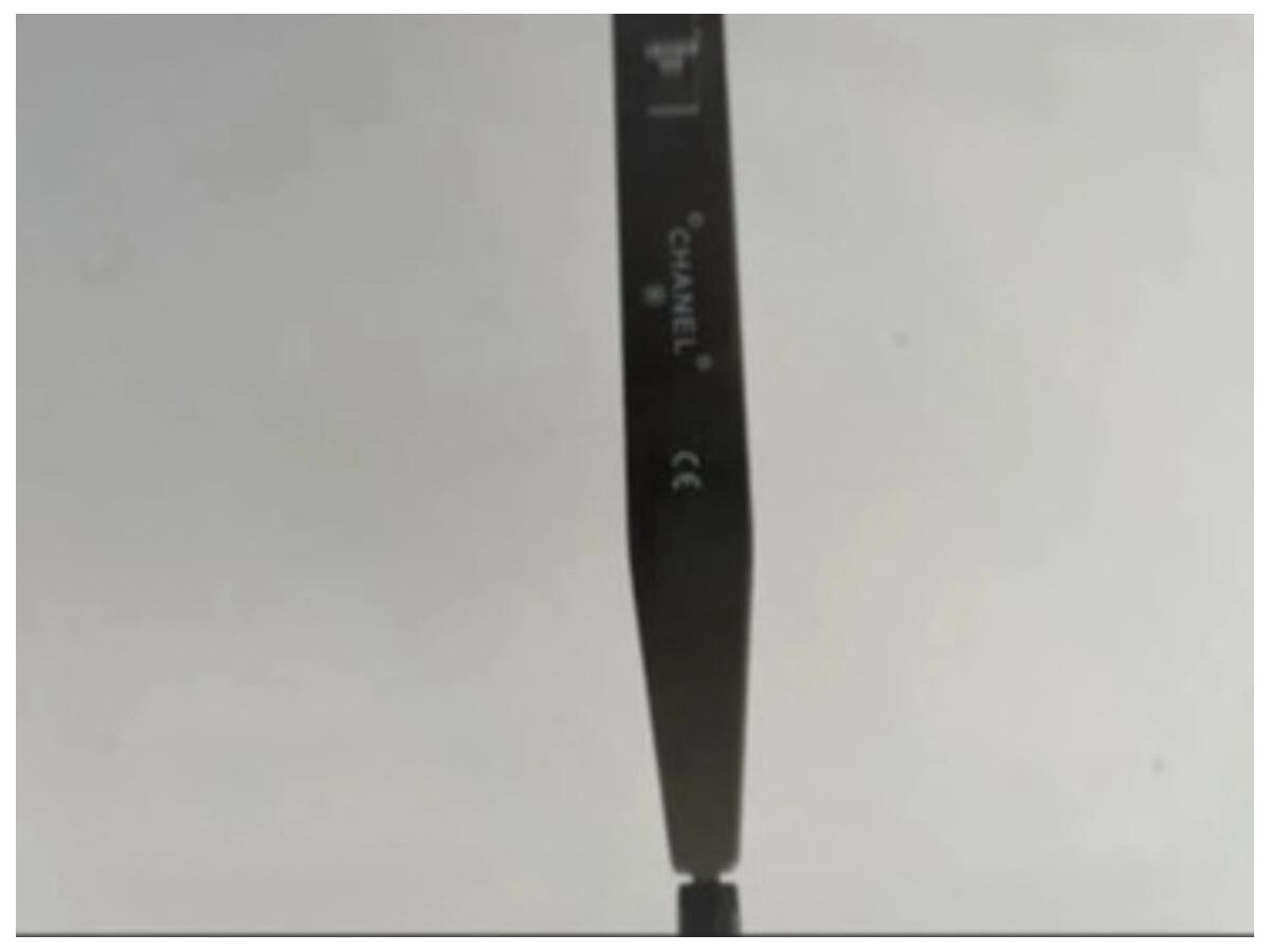 Chanel  - 09614 94305