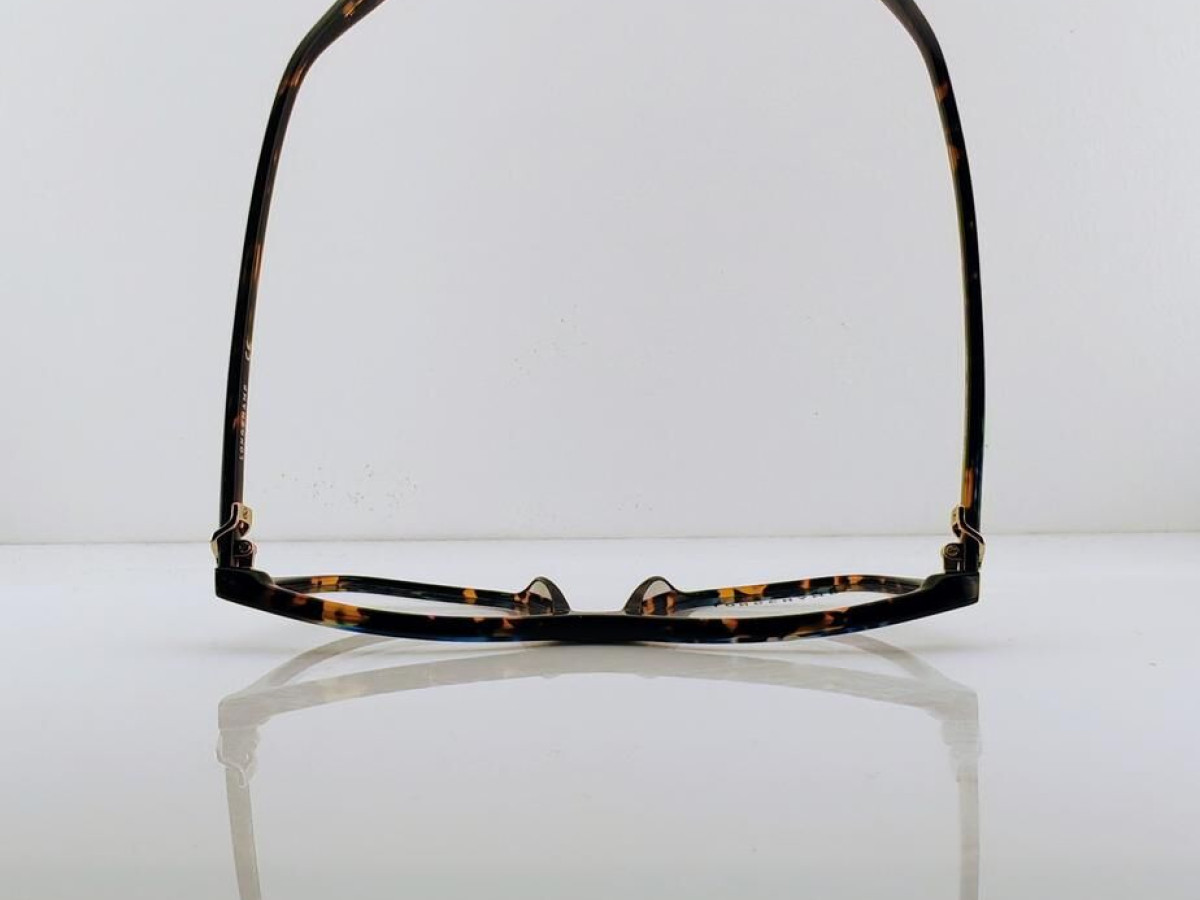 LONGCHAMP - LO2685 281 54&curren;15