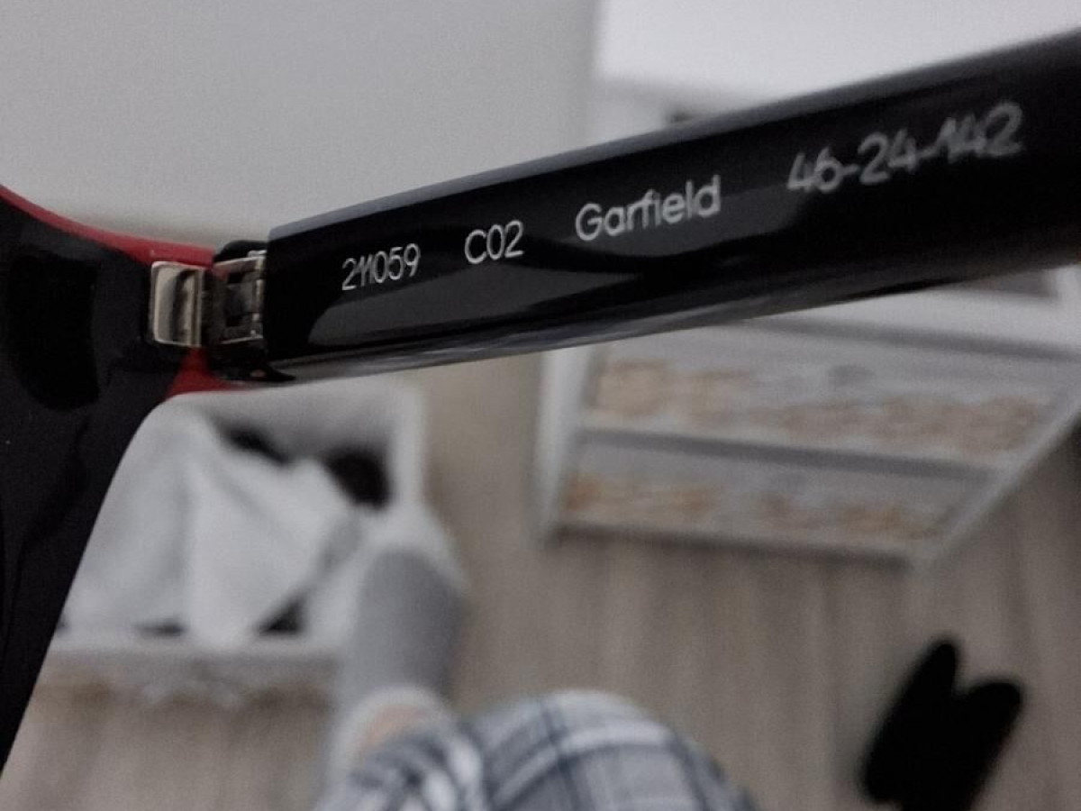 ZEN - 211059 C02  - GARFIELD 46-24-142