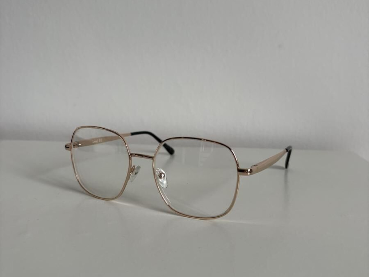 Level - LE 2110 53&curren;17