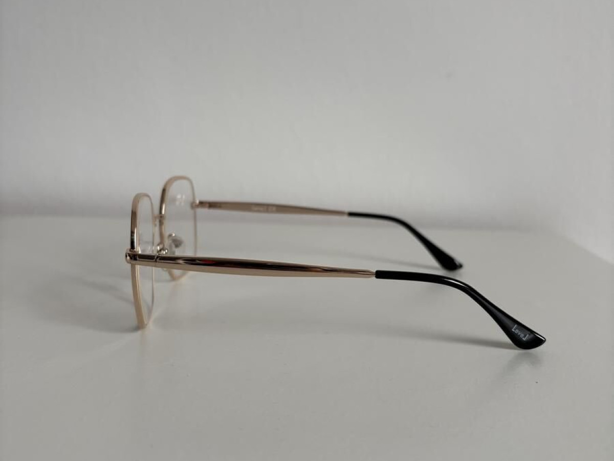 Level - LE 2110 53&curren;17