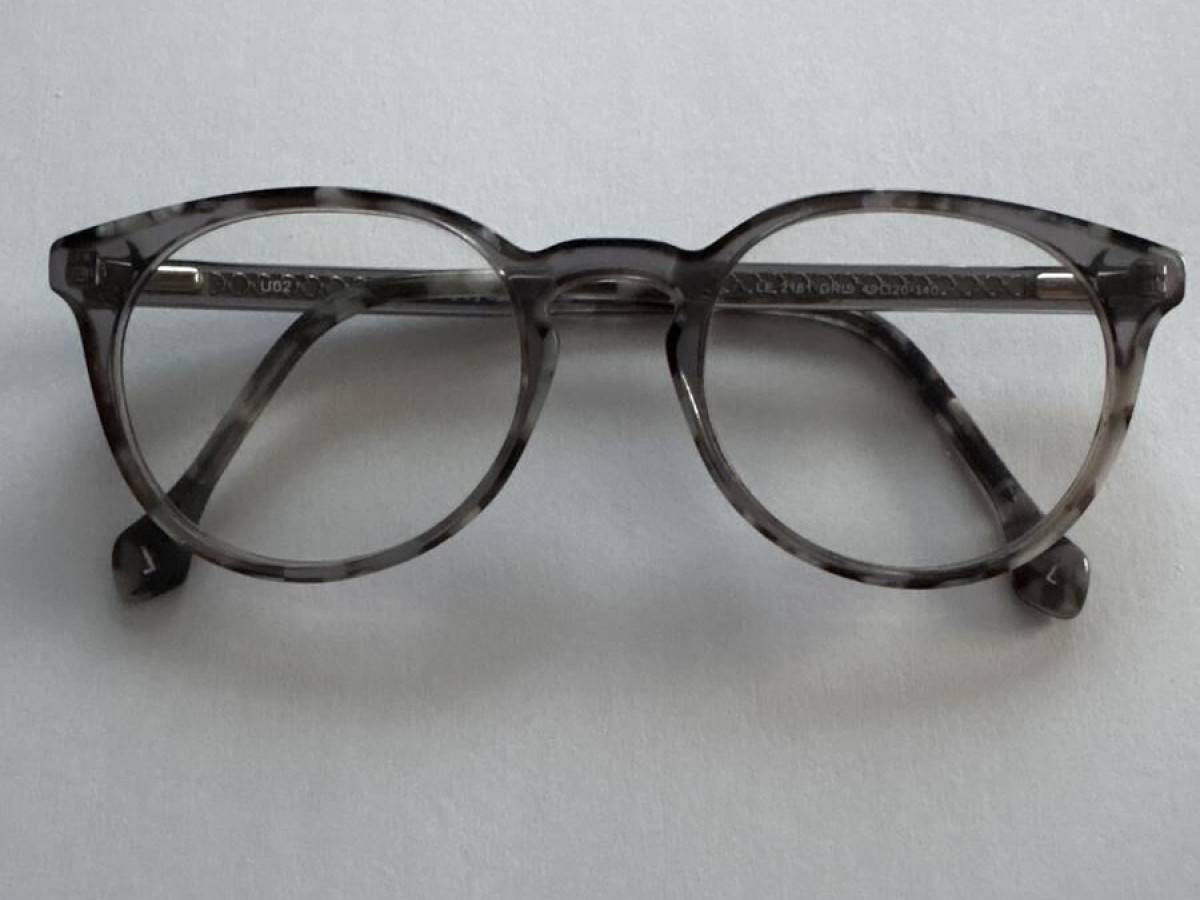 Level - LE 2161 gris