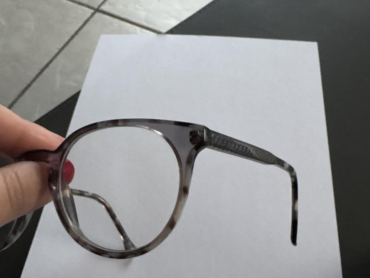 Level - LE 2161 gris